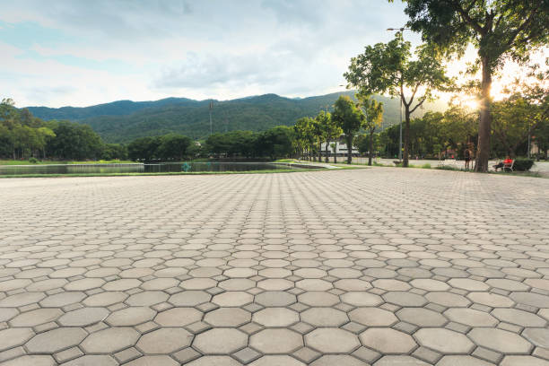 Best Professional Driveway Pavers  in Crescent City, CA